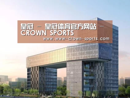 案例展示四