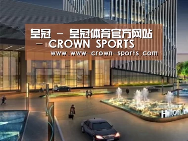 案例展示二